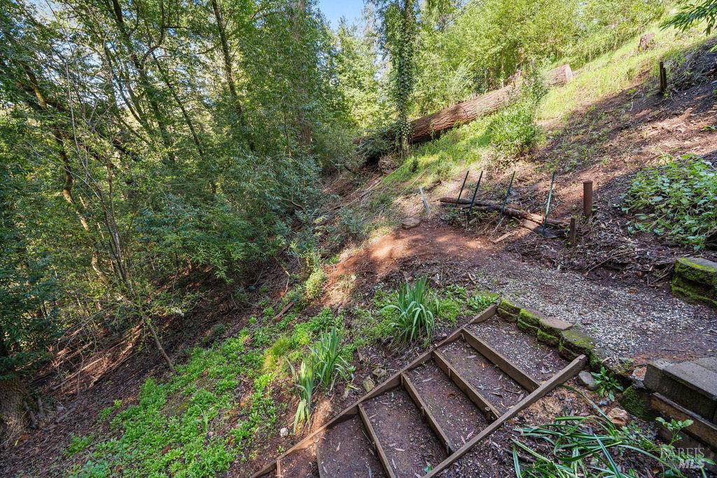 10987 Terrace Drive Forestville CA 95436