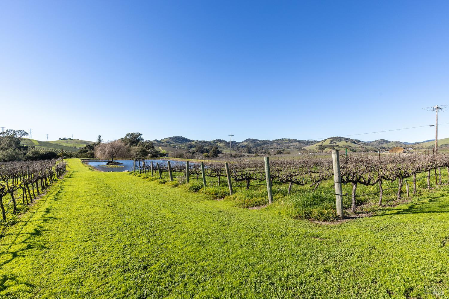 1289 Duhig Road Napa CA 94559