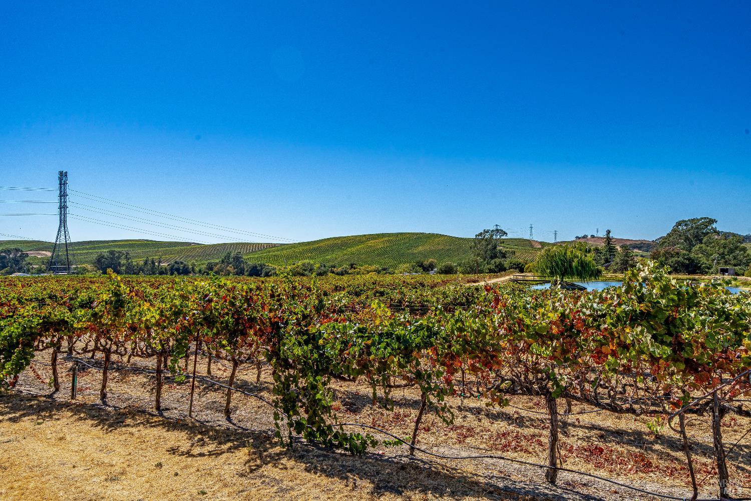 1289 Duhig Road Napa CA 94559
