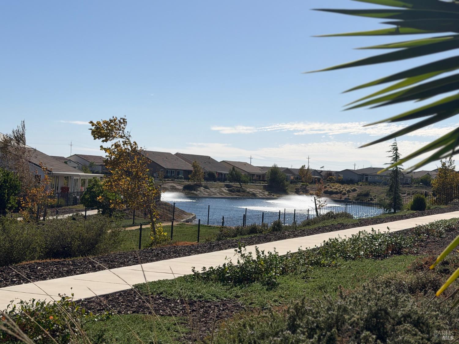 291 Harvest Hills Lane Rio Vista CA 94571