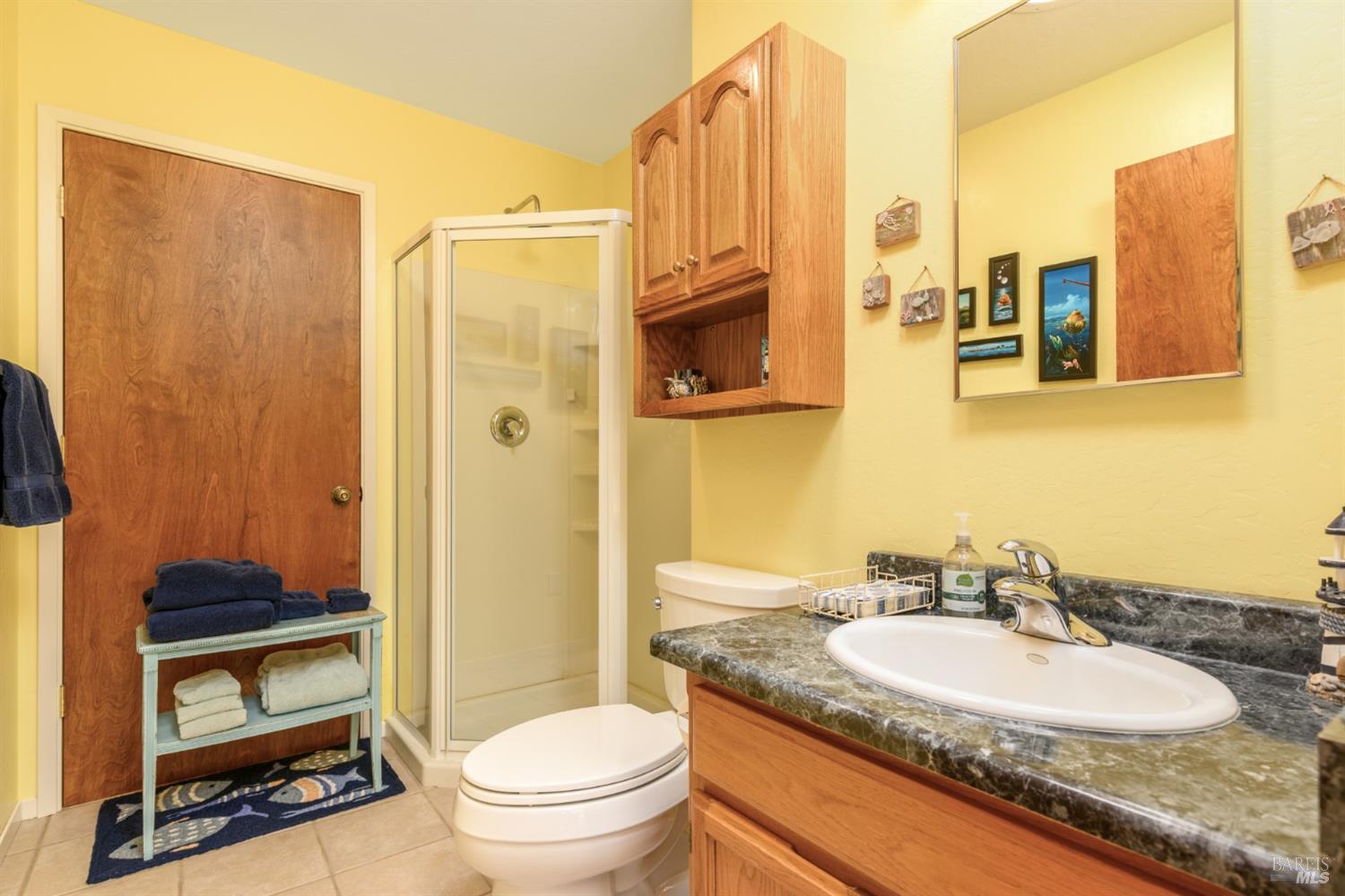 15721 Forest View Road Irish Beach CA 95459