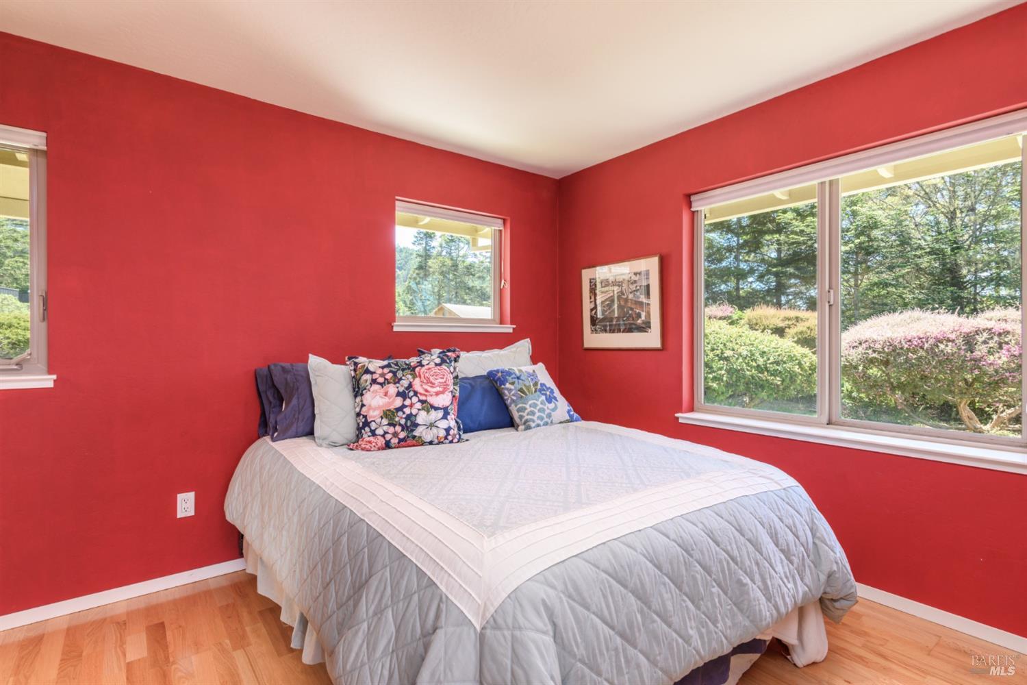 15721 Forest View Road Irish Beach CA 95459