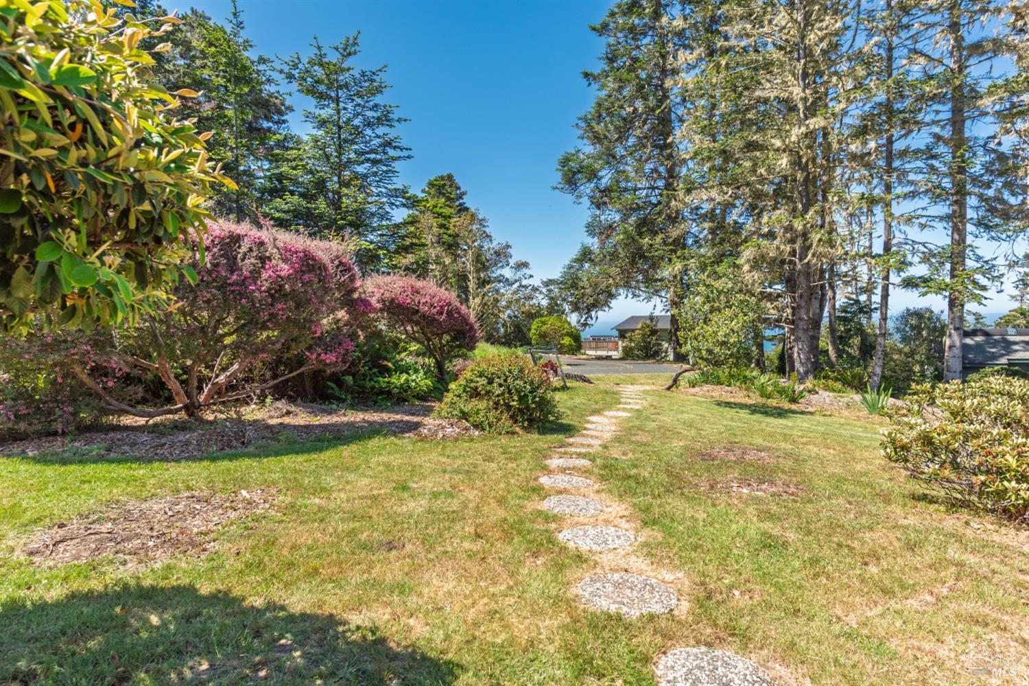 15721 Forest View Road Irish Beach CA 95459
