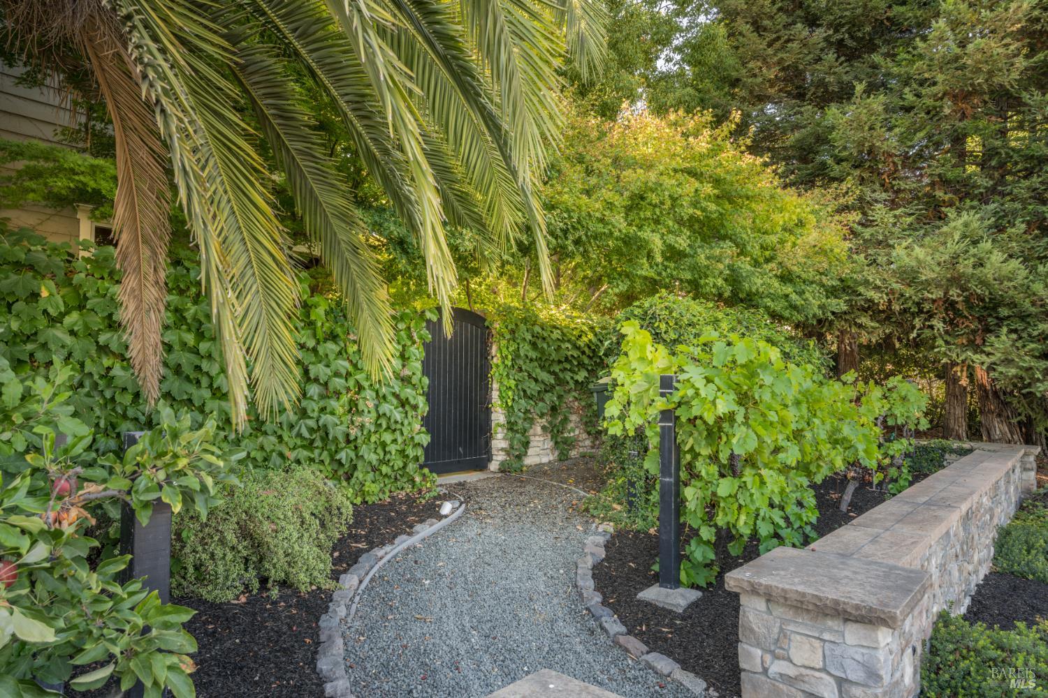 492 Saunders Drive Sonoma CA 95476