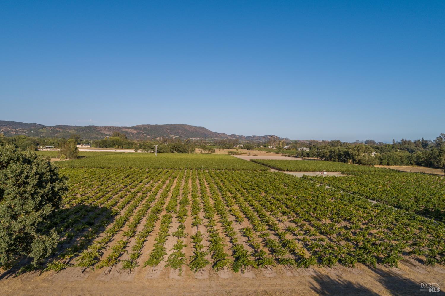 492 Saunders Drive Sonoma CA 95476