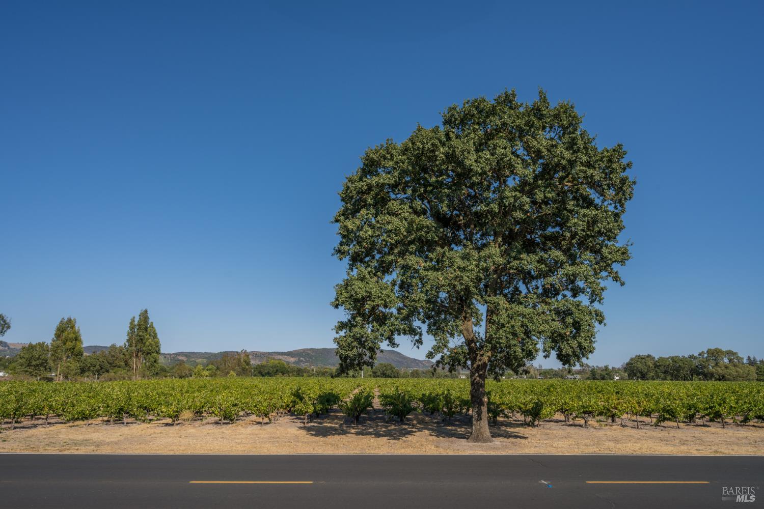 492 Saunders Drive Sonoma CA 95476