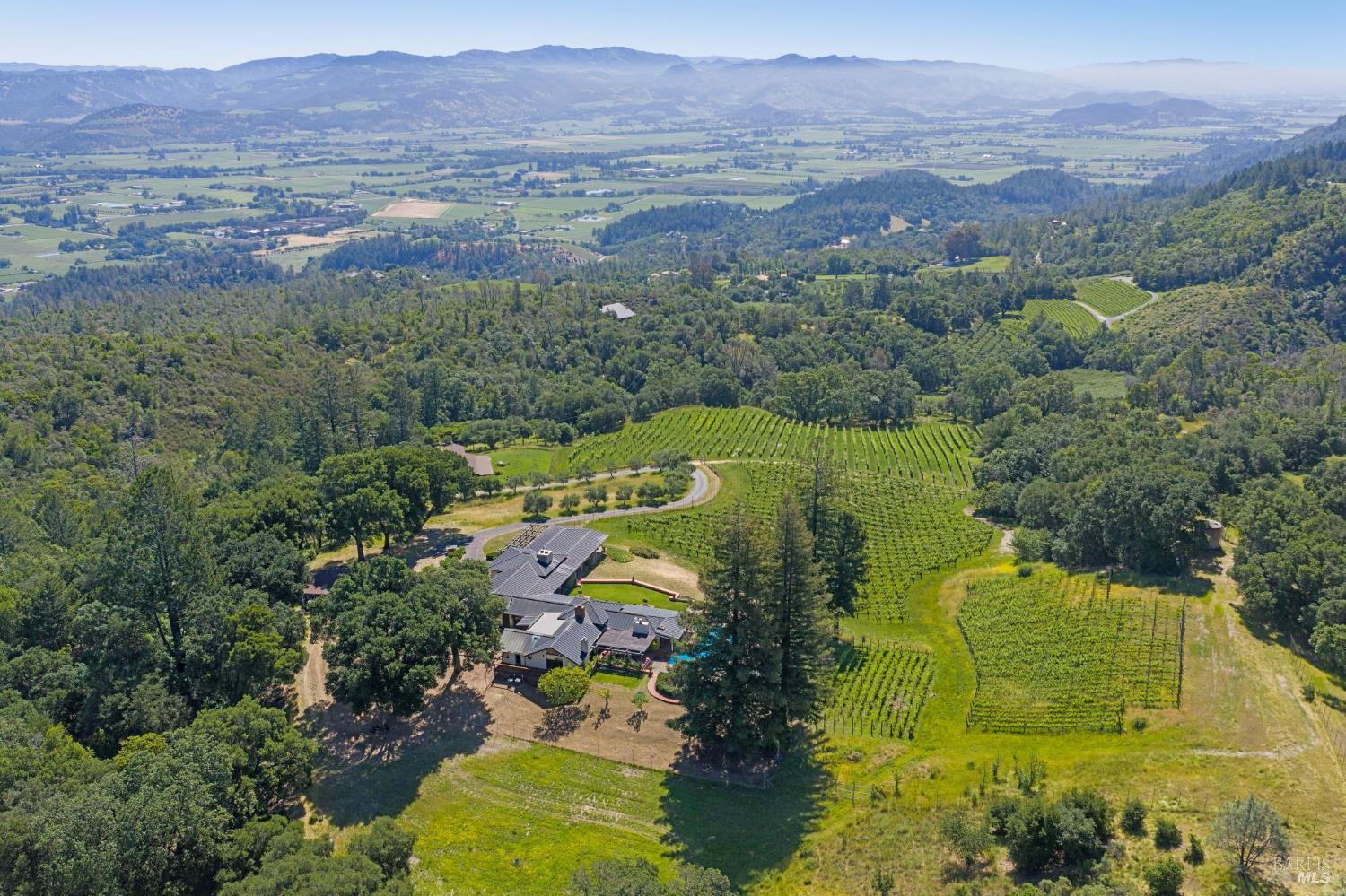 1975 Whitehall Lane St. Helena CA 94574