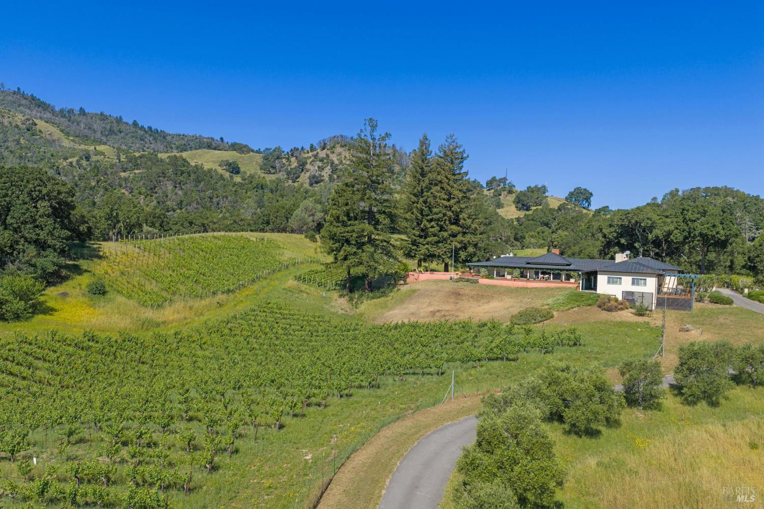 1975 Whitehall Lane St. Helena CA 94574