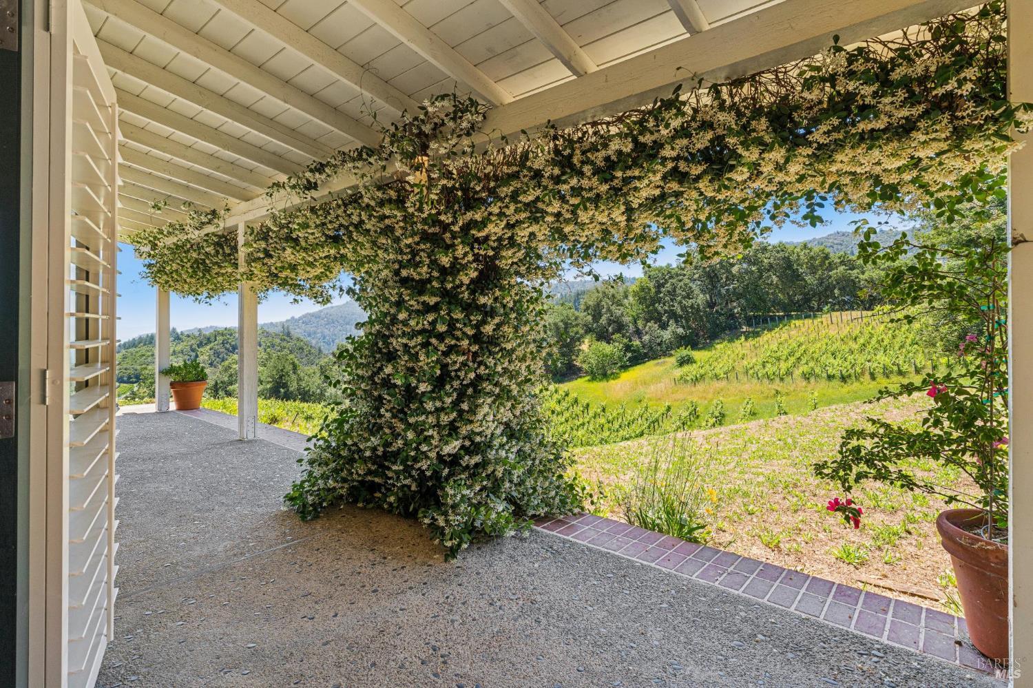 1975 Whitehall Lane St. Helena CA 94574