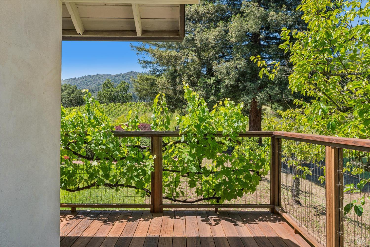 1975 Whitehall Lane St. Helena CA 94574