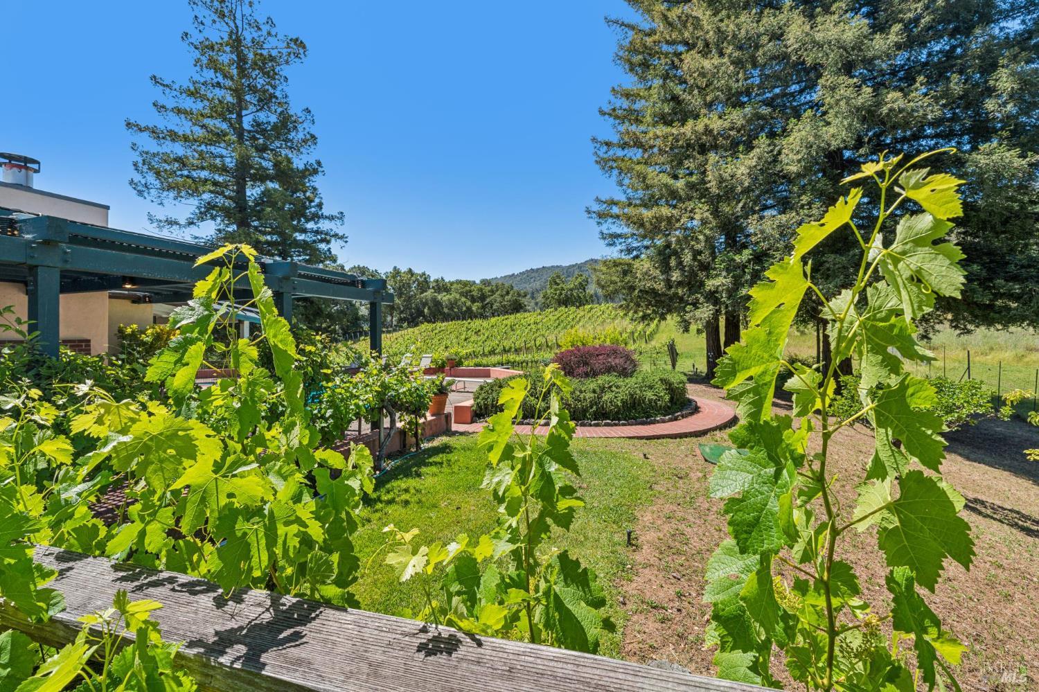 1975 Whitehall Lane St. Helena CA 94574