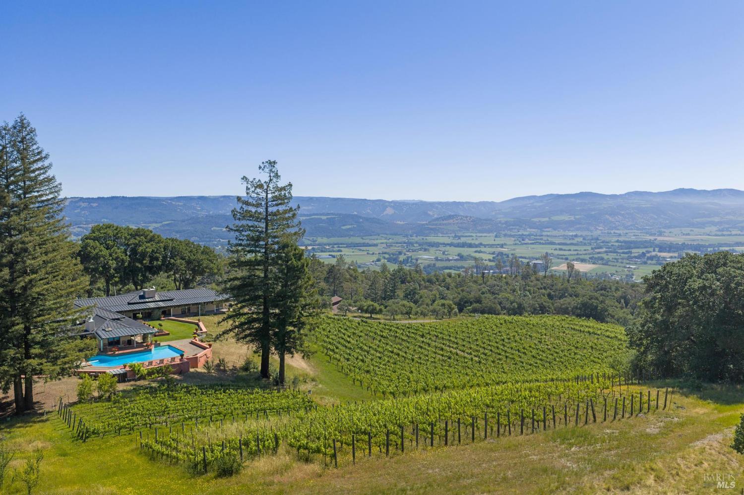 1975 Whitehall Lane St. Helena CA 94574