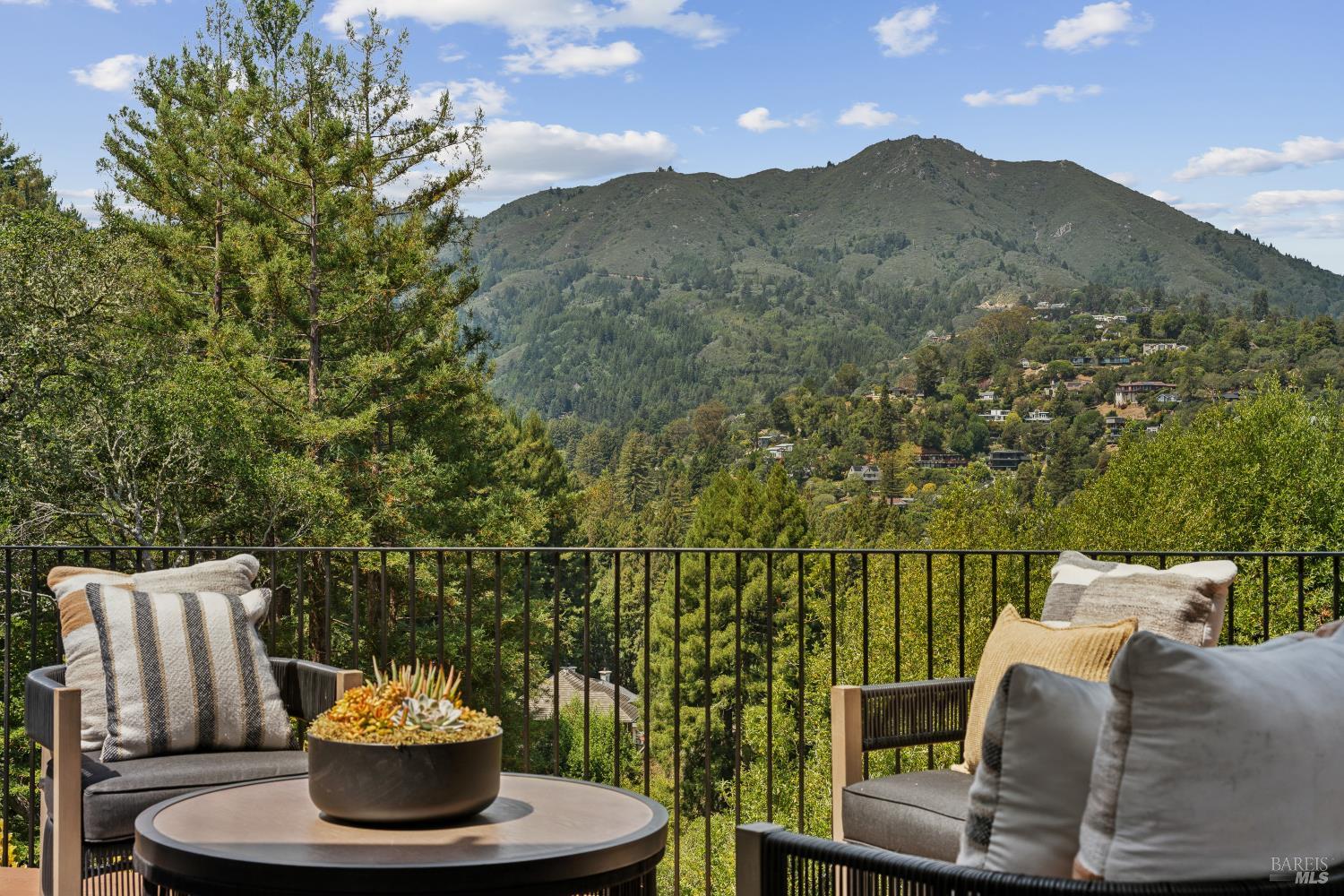 187 Molino Avenue Mill Valley CA 94941