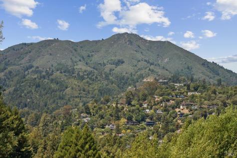 187 Molino Avenue Mill Valley CA 94941
