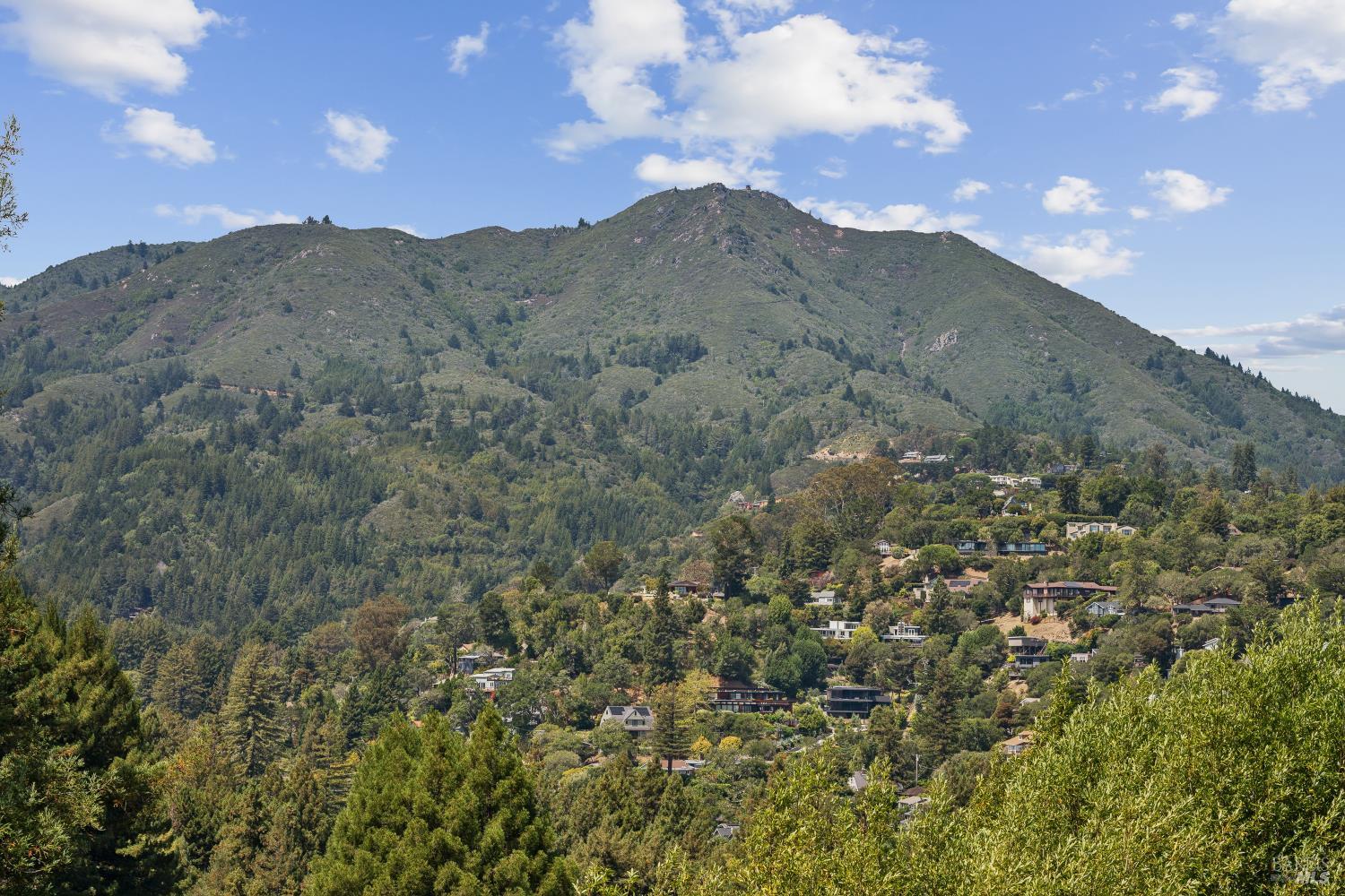 187 Molino Avenue Mill Valley CA 94941