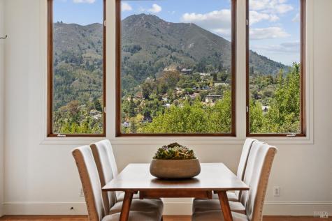 187 Molino Avenue Mill Valley CA 94941