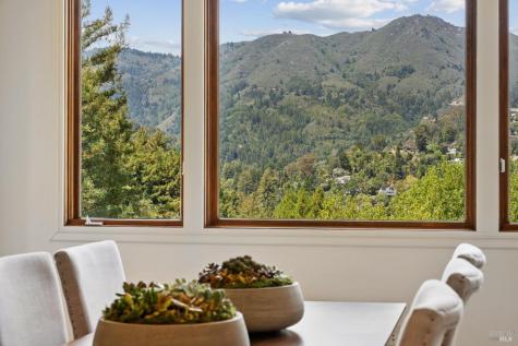 187 Molino Avenue Mill Valley CA 94941