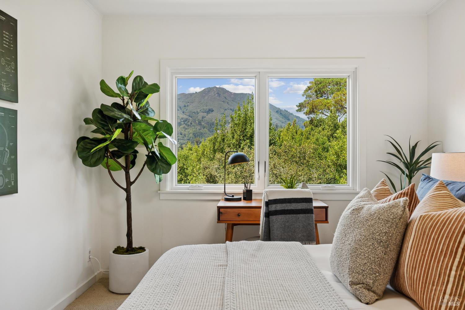 187 Molino Avenue Mill Valley CA 94941