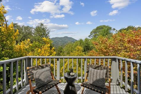 187 Molino Avenue Mill Valley CA 94941