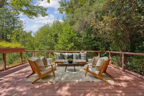 187 Molino Avenue Mill Valley CA 94941
