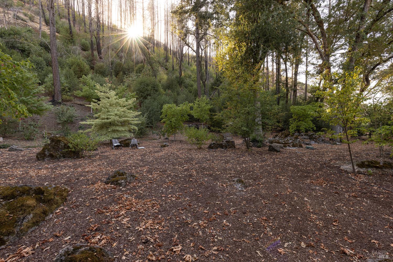 481 Crystal Springs Road St. Helena CA 94574