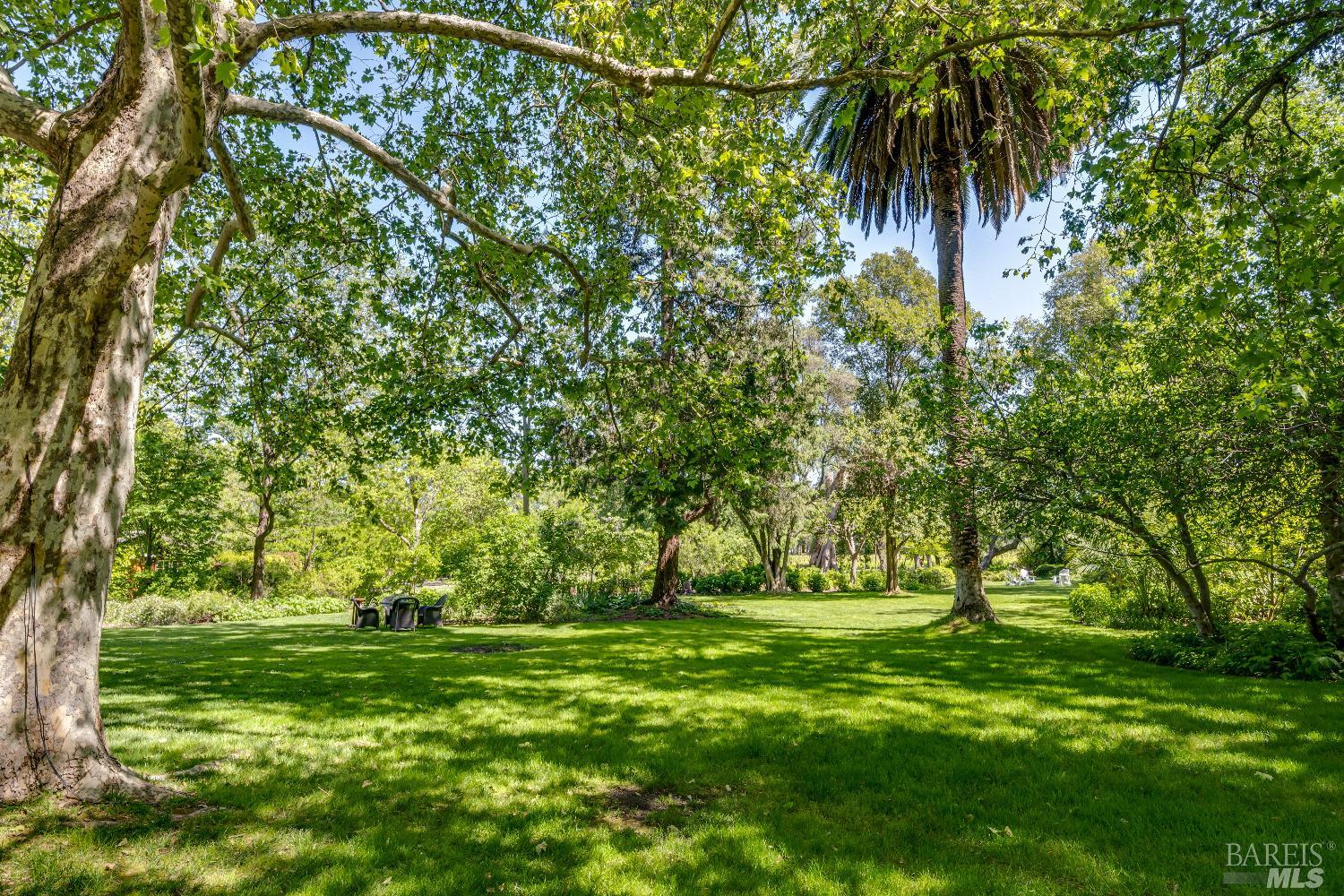 1105 Lodi Lane St. Helena CA 94574