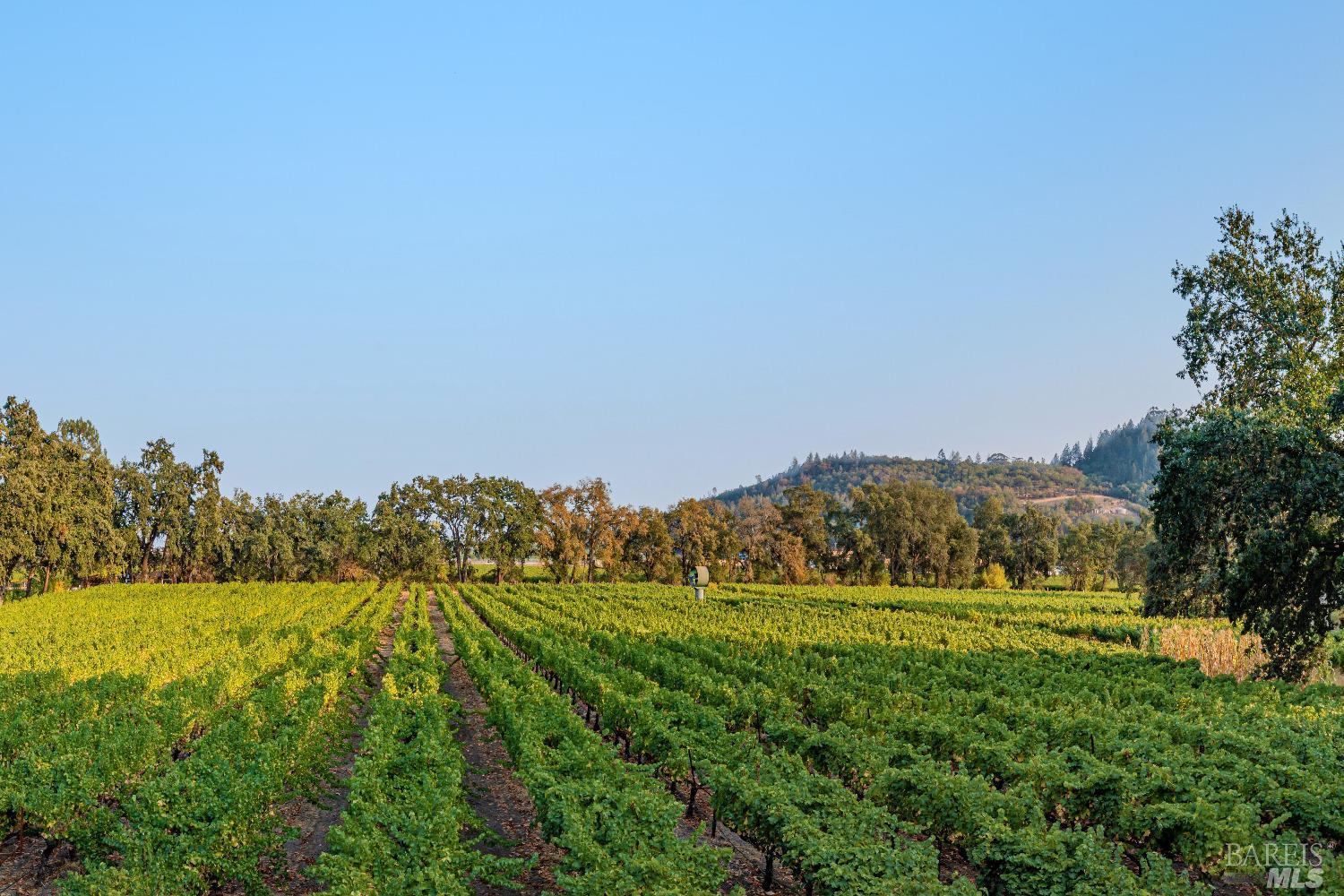 1105 Lodi Lane St. Helena CA 94574
