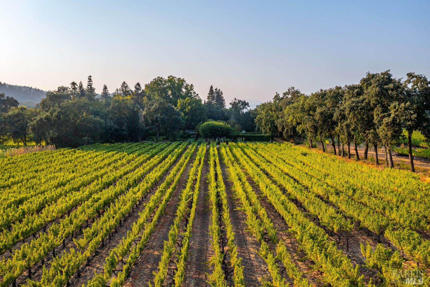 1105 Lodi Lane St. Helena CA 94574
