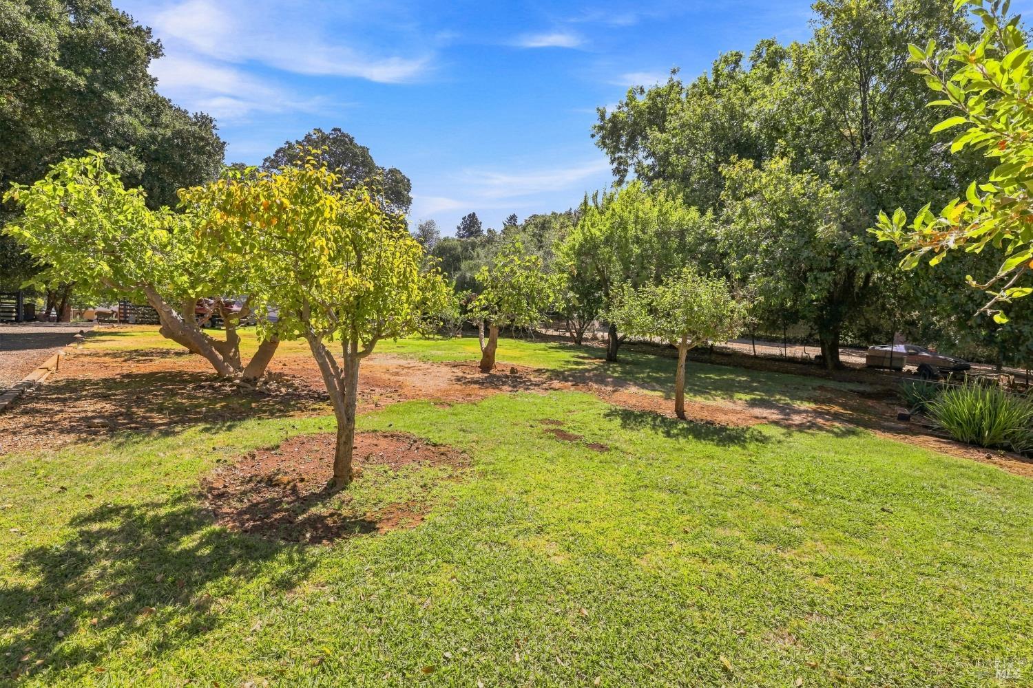 1875 Westlake Drive Kelseyville CA 95451