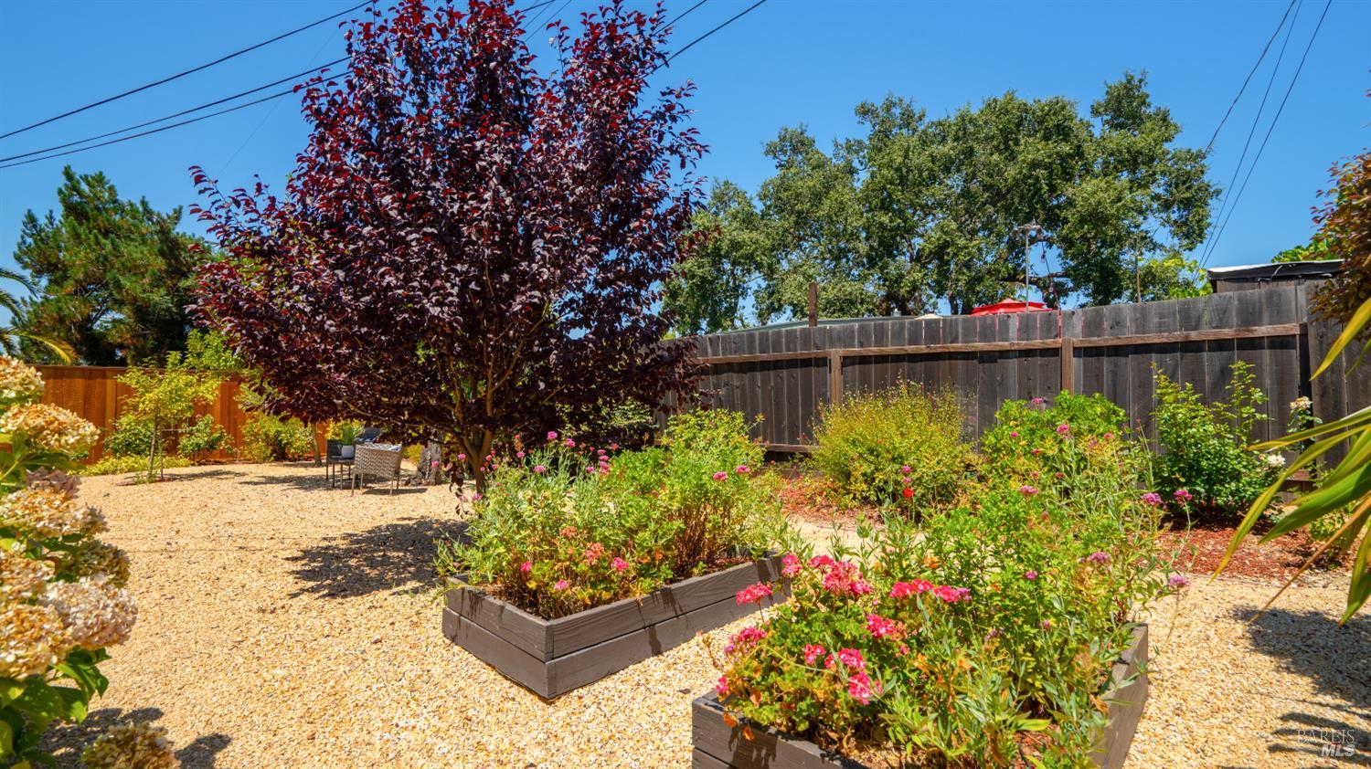 1274 Parkwood Drive Novato CA 94947