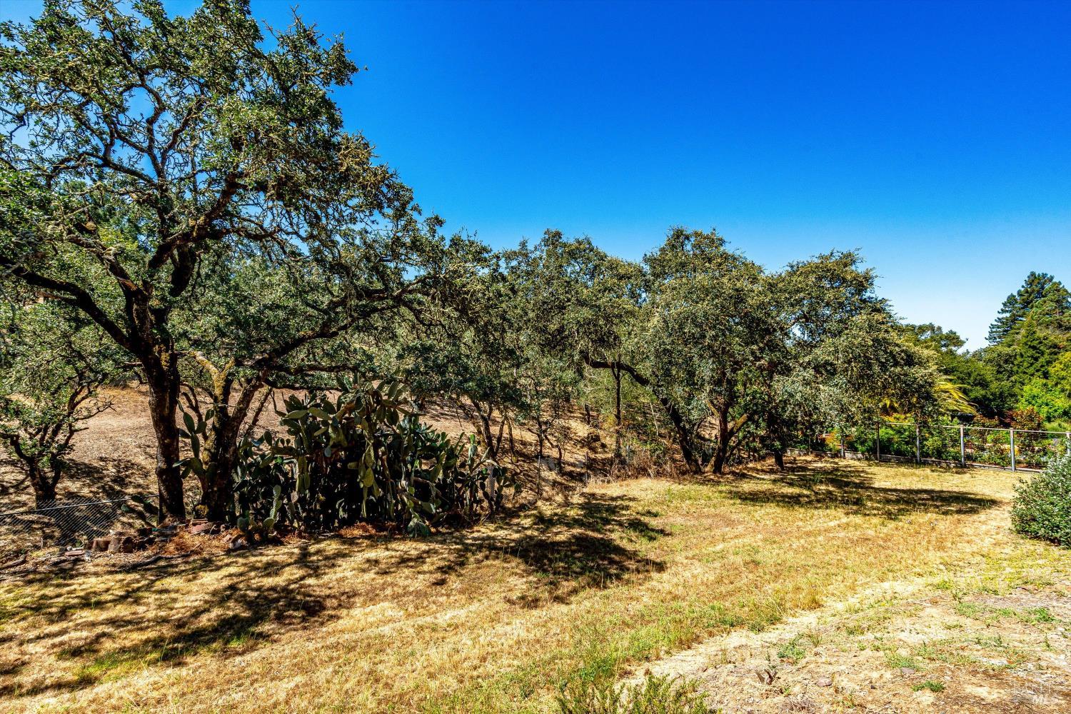 303 Ashlar Drive Napa CA 94558