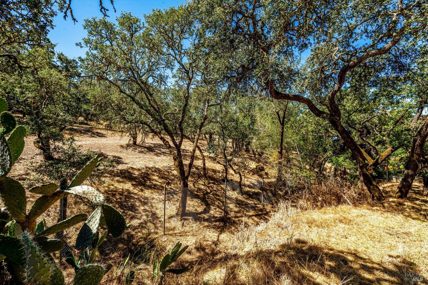 303 Ashlar Drive Napa CA 94558
