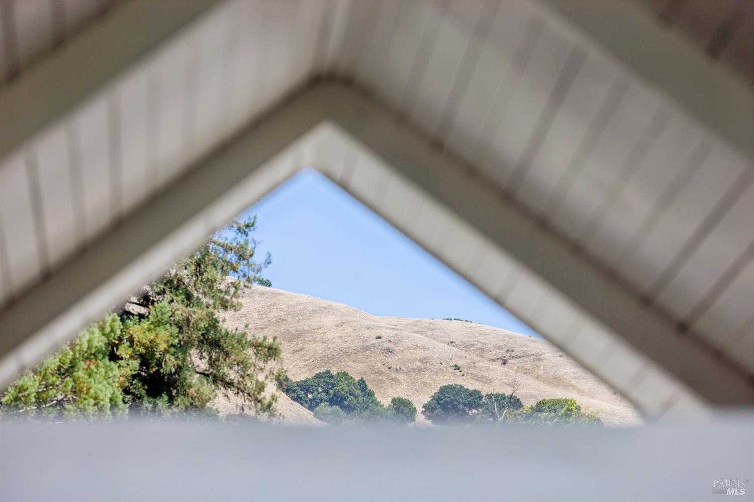 61 Mount Rainier Drive San Rafael CA 94903