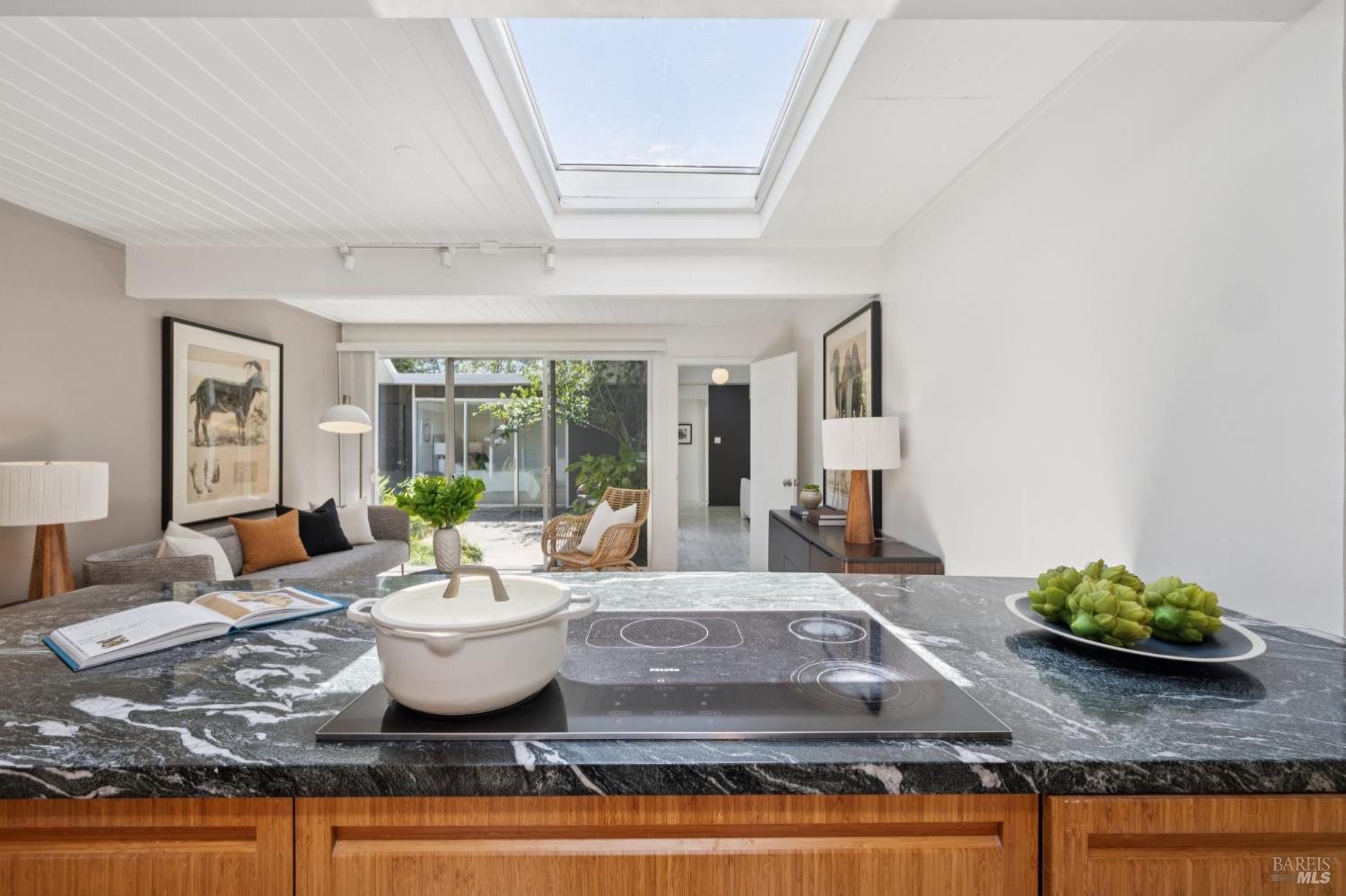 61 Mount Rainier Drive San Rafael CA 94903