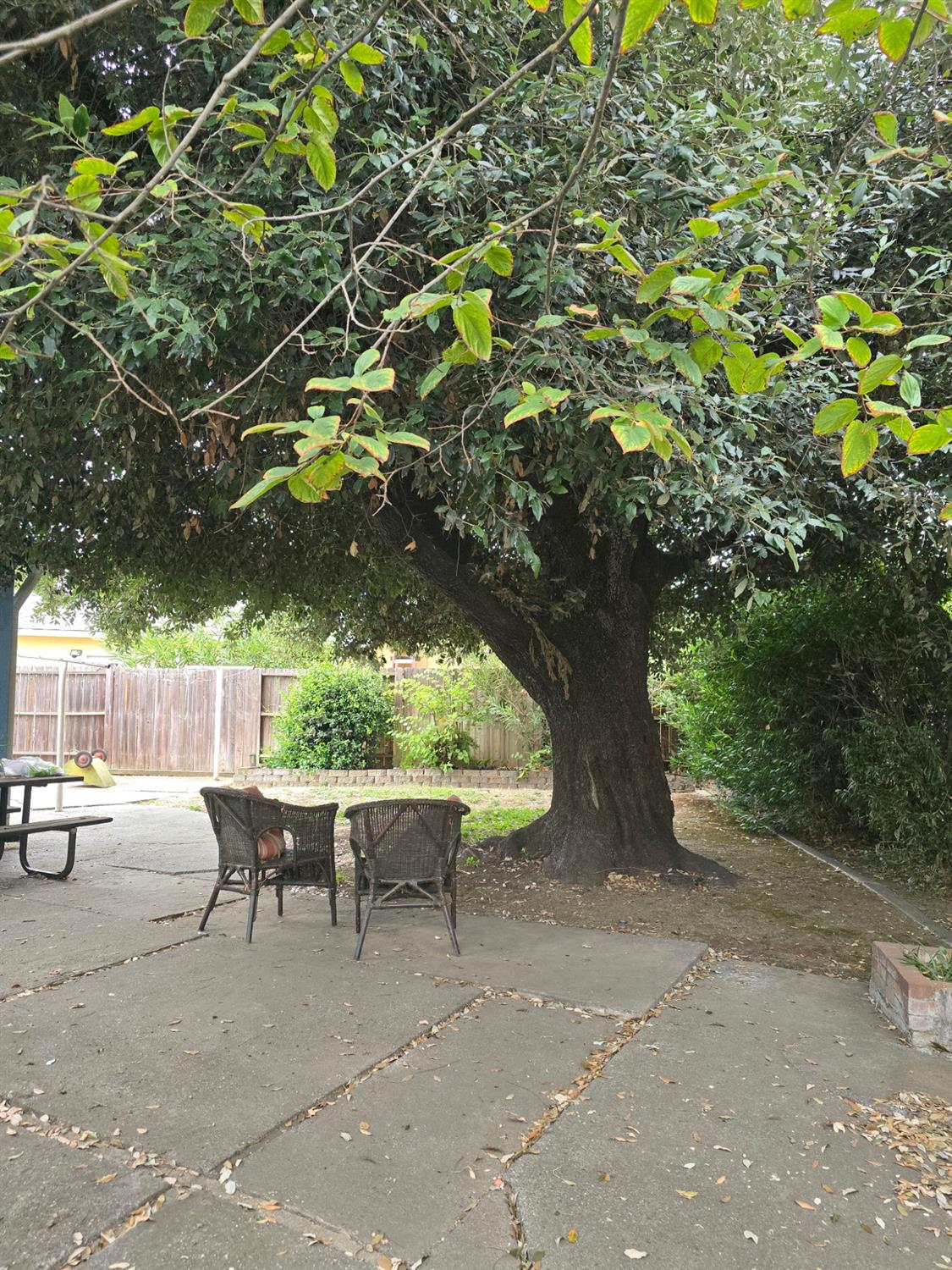 148 Shasta Place Woodland CA 95695