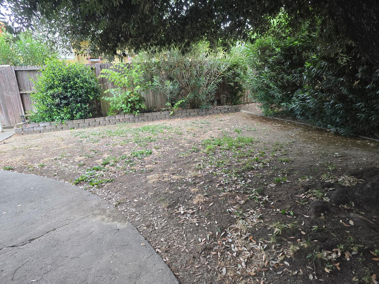 148 Shasta Place Woodland CA 95695