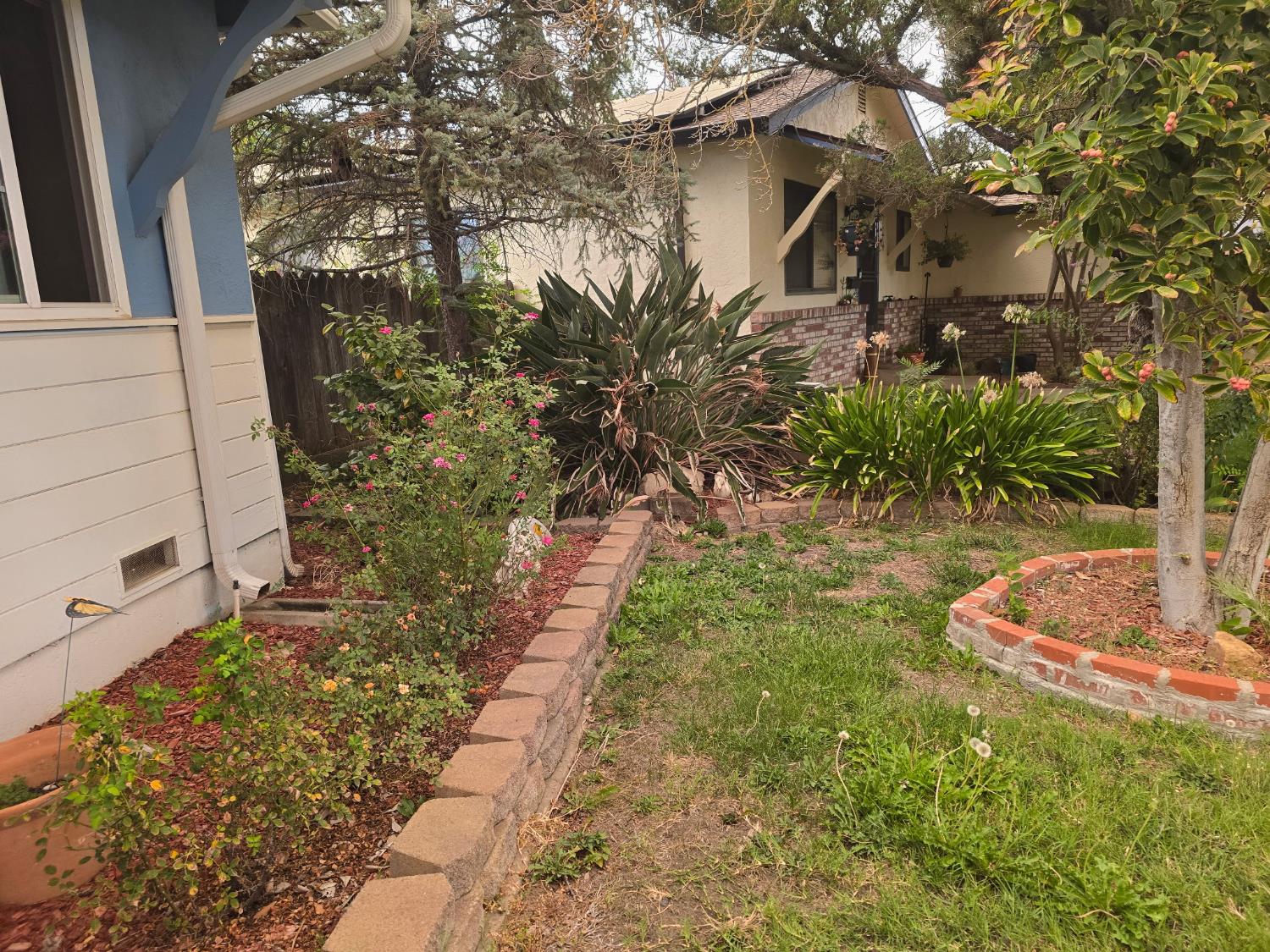 148 Shasta Place Woodland CA 95695