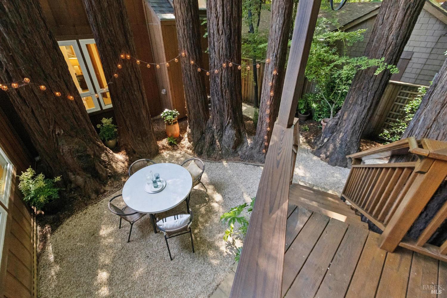 215 Madrone Avenue Larkspur CA 94939