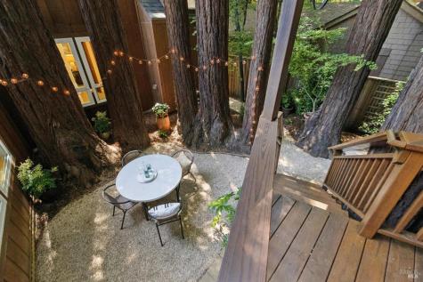215 Madrone Avenue Larkspur CA 94939