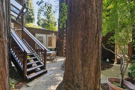215 Madrone Avenue Larkspur CA 94939