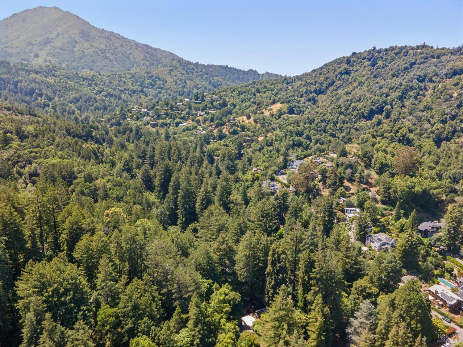 215 Madrone Avenue Larkspur CA 94939