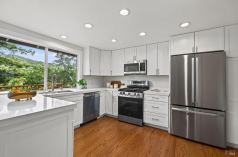 55 La Costa Court Novato CA 94947