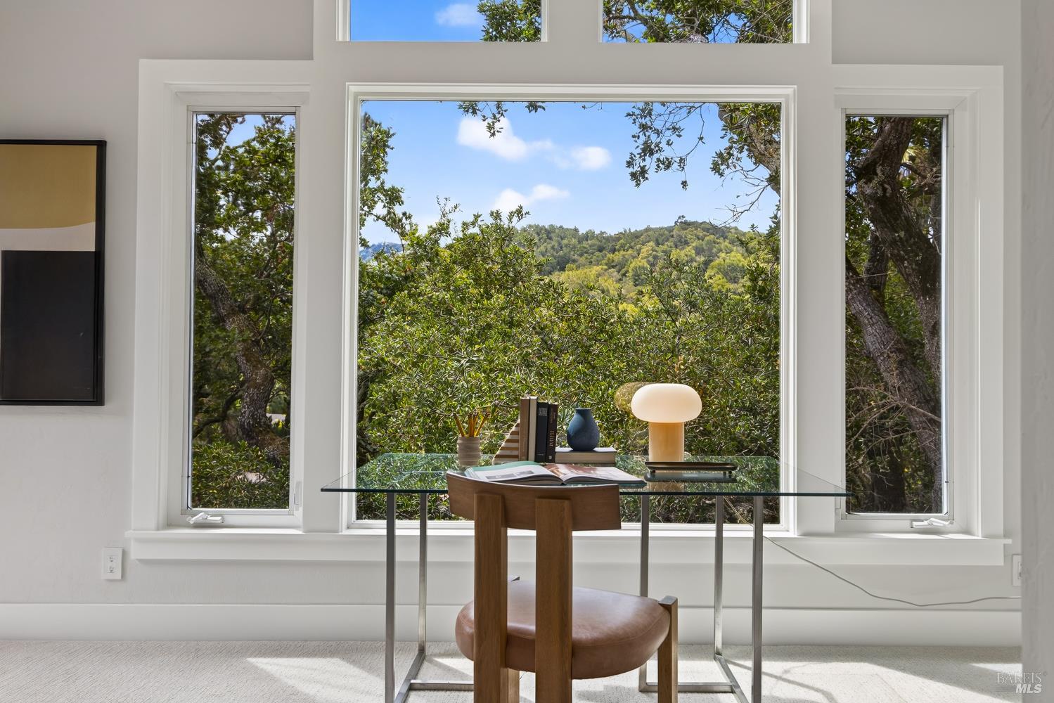 55 La Costa Court Novato CA 94947