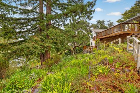 55 La Costa Court Novato CA 94947
