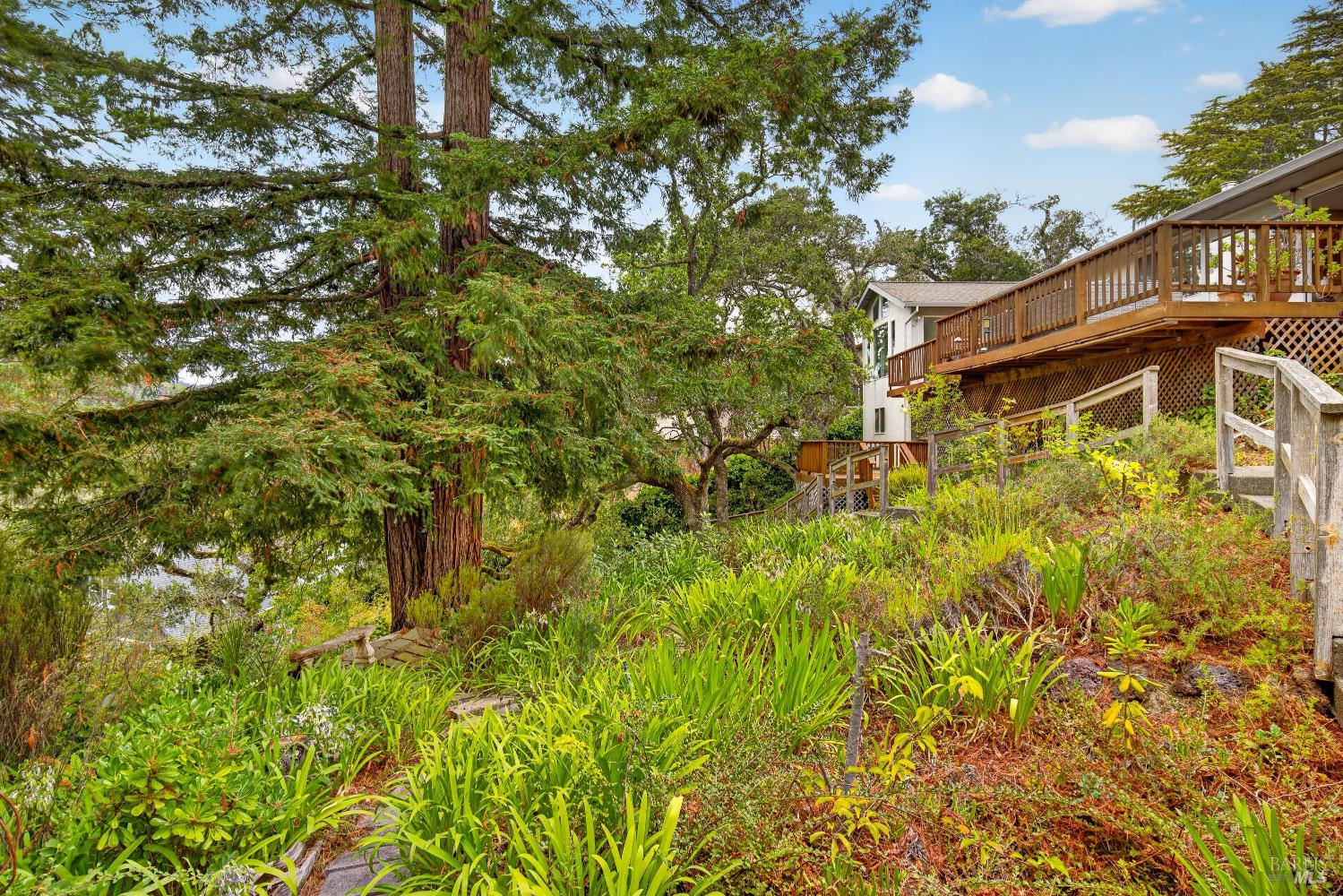 55 La Costa Court Novato CA 94947