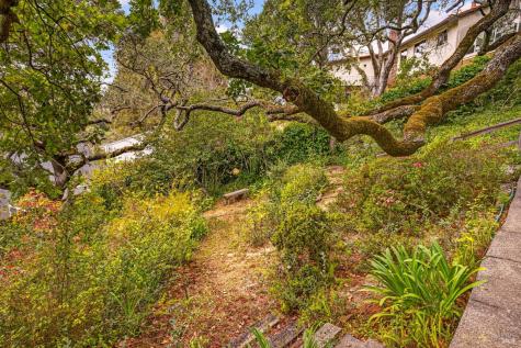 55 La Costa Court Novato CA 94947