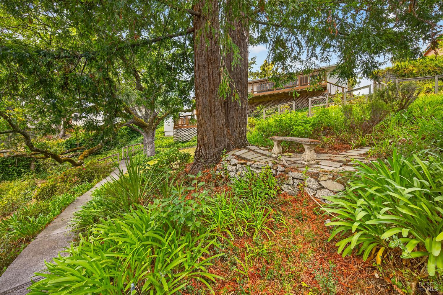 55 La Costa Court Novato CA 94947