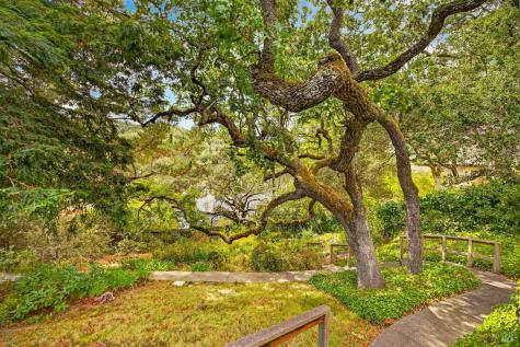 55 La Costa Court Novato CA 94947