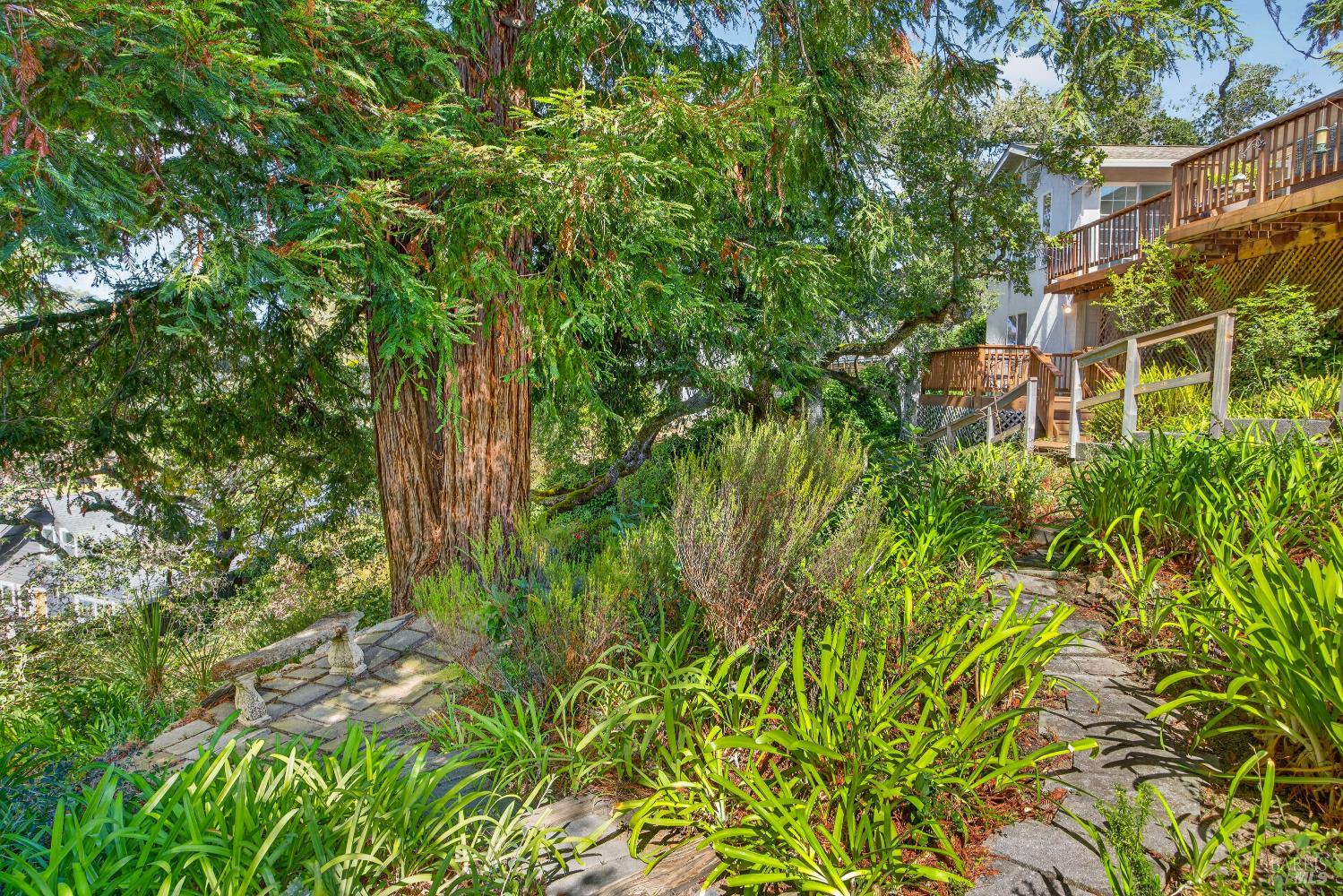 55 La Costa Court Novato CA 94947