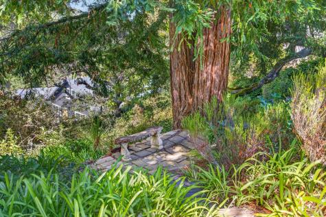 55 La Costa Court Novato CA 94947